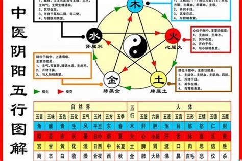 屬鼠五行屬什麼|属鼠五行属什么命 属鼠人的五行缺什么